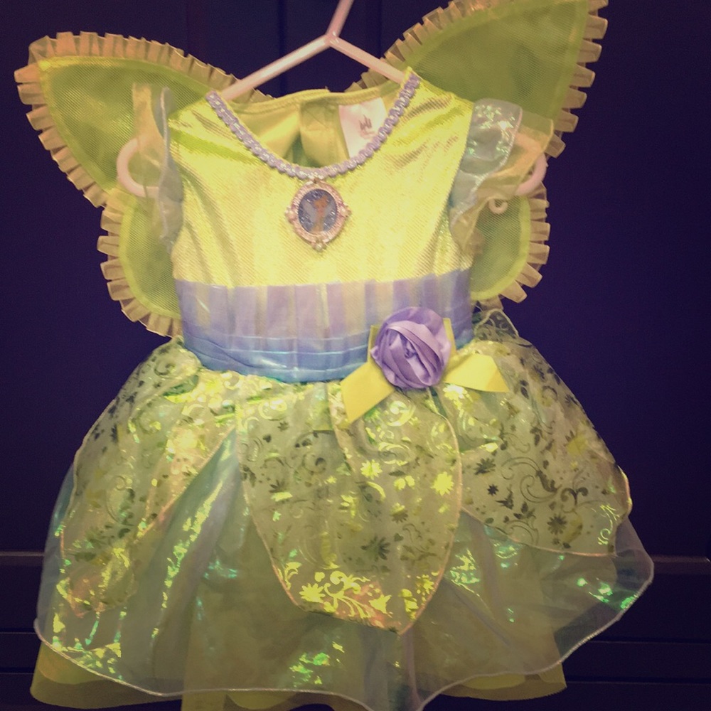 Disney Tinkerbell Costume